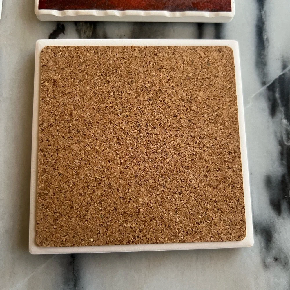 Louisiana themed Absorbent Coaster and trivet Set - 4 coasters 1 trivet